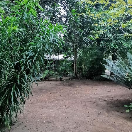 Sigiri Mango Garden Eco Resort Sigiriya Buitenkant foto