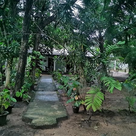 Sigiri Mango Garden Eco Resort Sigiriya Buitenkant foto