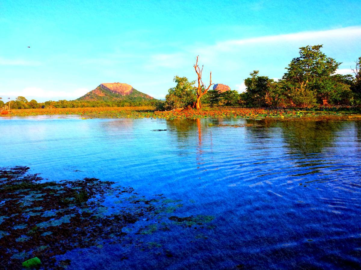 Sigiri Mango Garden Eco Resort Sigiriya Buitenkant foto