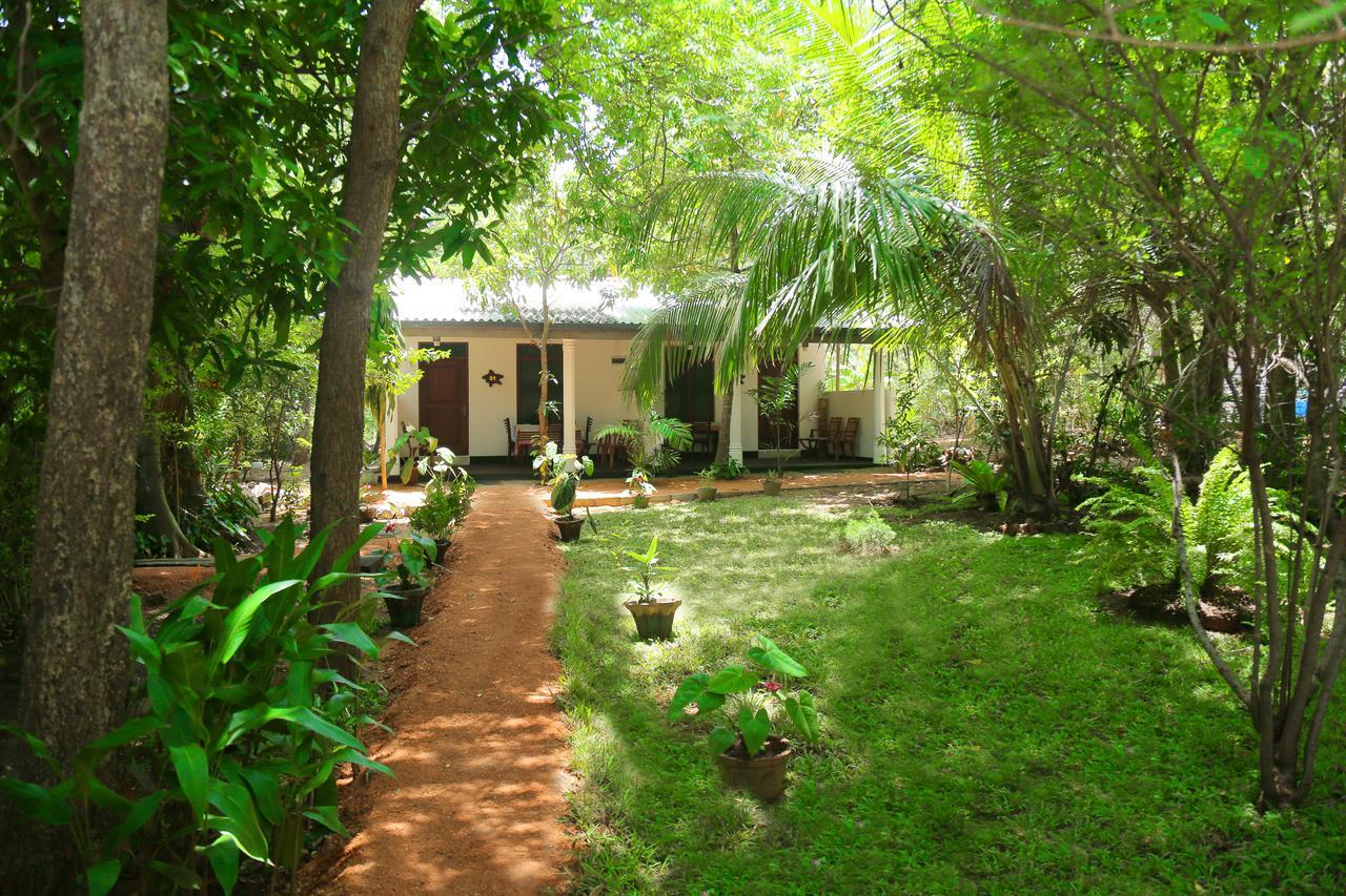 Sigiri Mango Garden Eco Resort Sigiriya Buitenkant foto