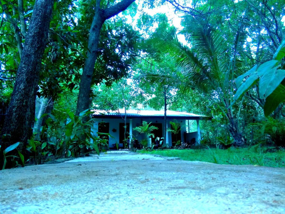Sigiri Mango Garden Eco Resort Sigiriya Buitenkant foto